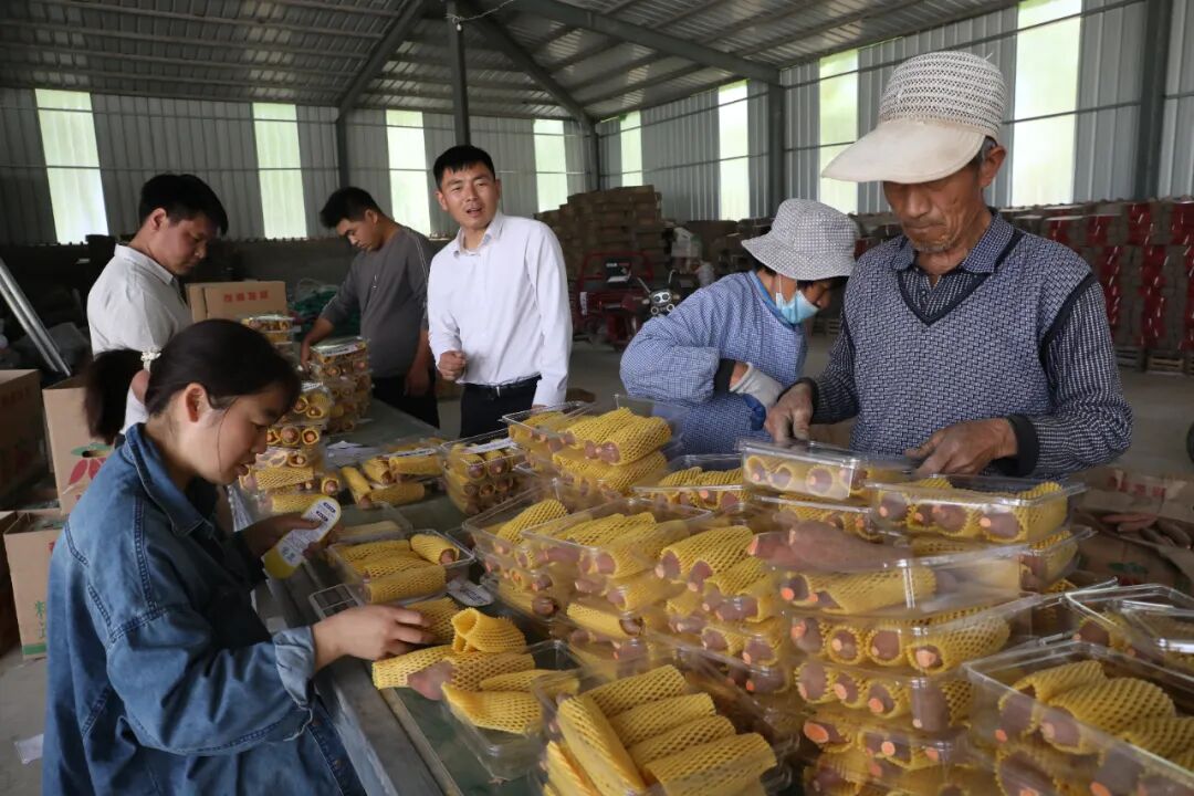 央媒观豫 | 何以兰考