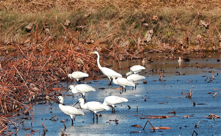 17122841309328296 3.jpg