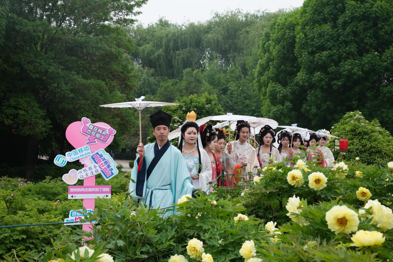 5671799544411608 图片5.png
