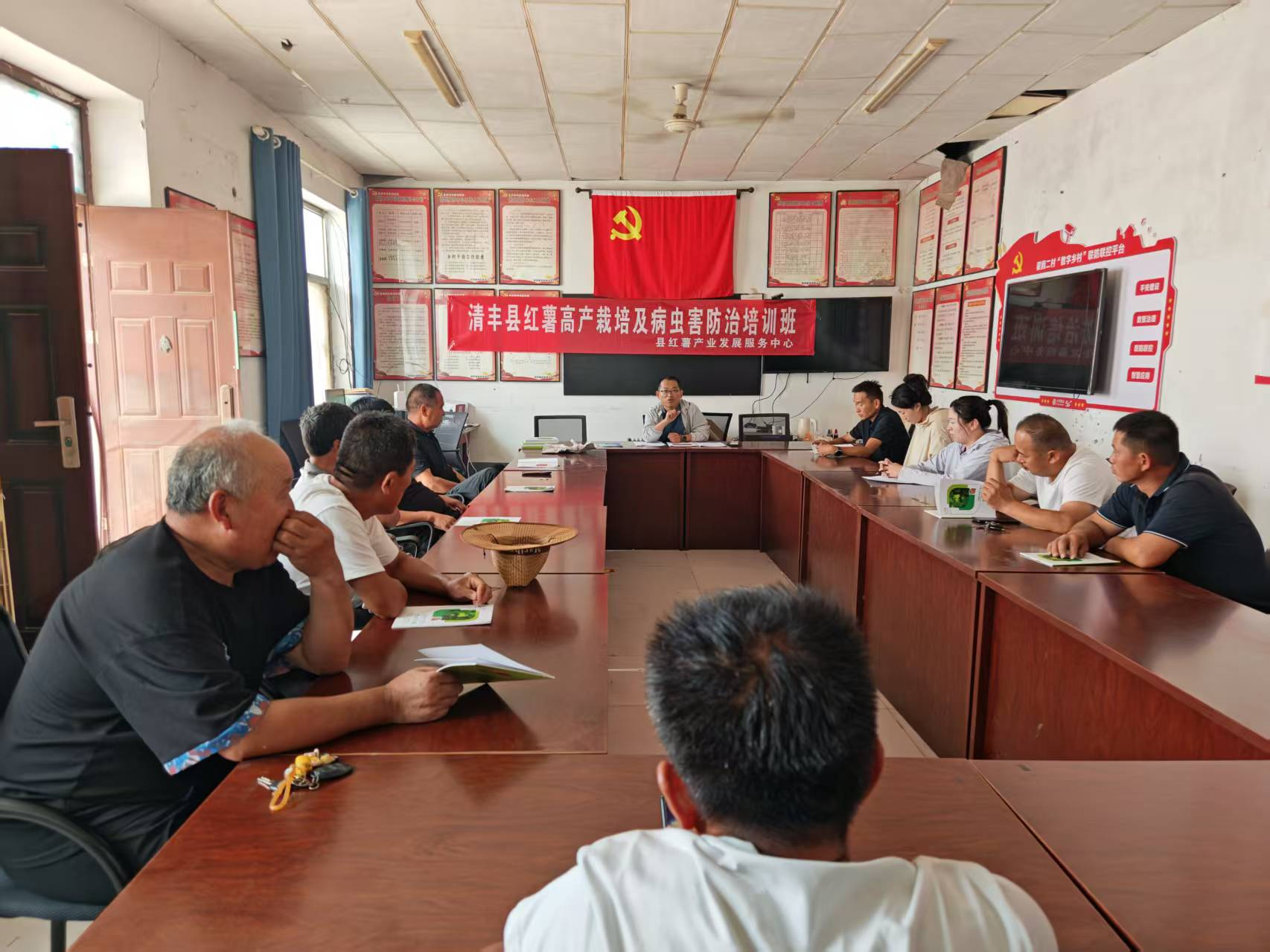 濮阳清丰：科技赋能薯业兴