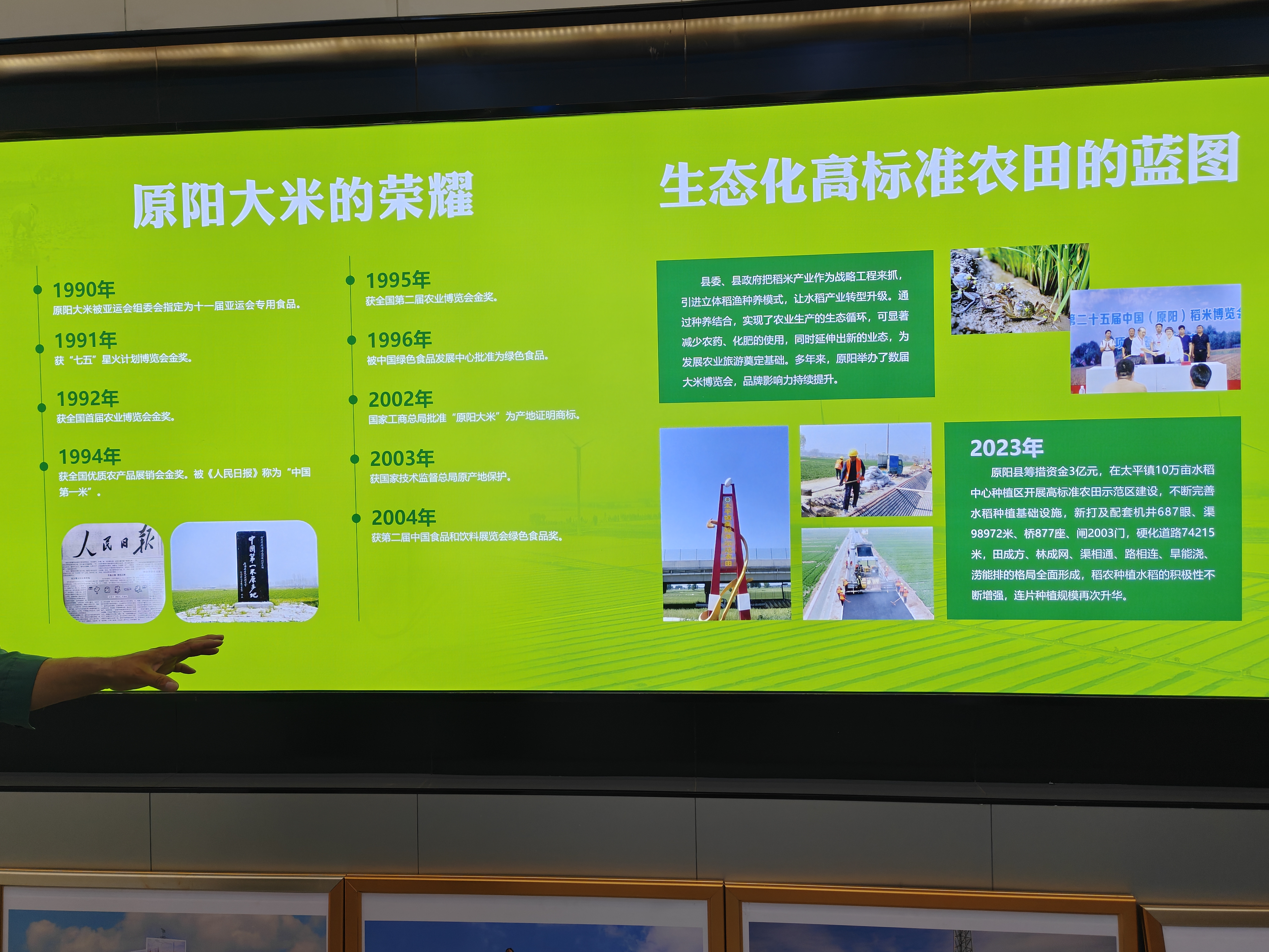 在新乡，听见一座城的脉搏